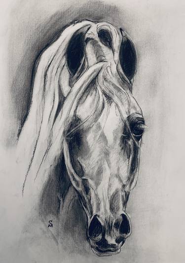 Original Figurative Horse Drawings by Sarah Mets