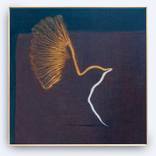 Bird-day by Bart Daems