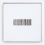Natural code by Bart Daems