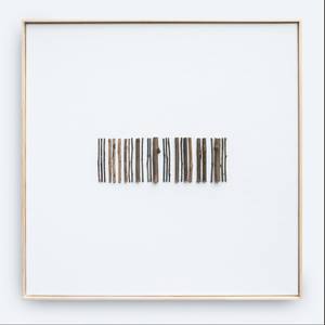 Natural code