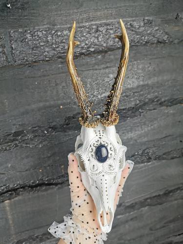 Real Roe Deer Skull With Engraved Design thumb