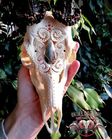 Real roe deer skull with engraved design and stone made to order thumb