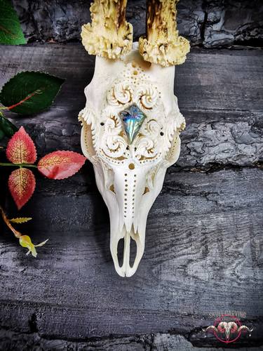 Real roe deer skull engraved design labradorite made to order thumb