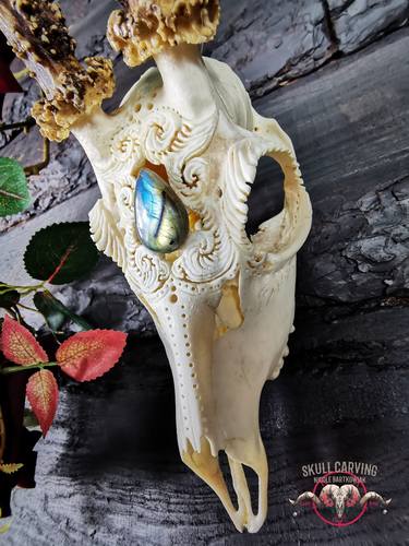 Engraved Roe Deer Skull with stone made to order thumb