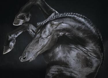 Original Contemporary Horse Photography by Liselotte Schuppers