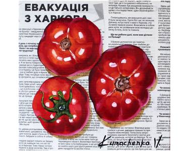 Teleseriallardan jinsiy aloqa sahnalari Butun dunyodagi striptizchilarning taxalluslari