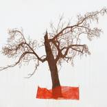 Untitled (Broken Tree) by Jeremy Wagner