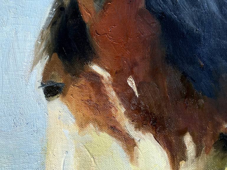 Original Horse Painting by DIANA HAND