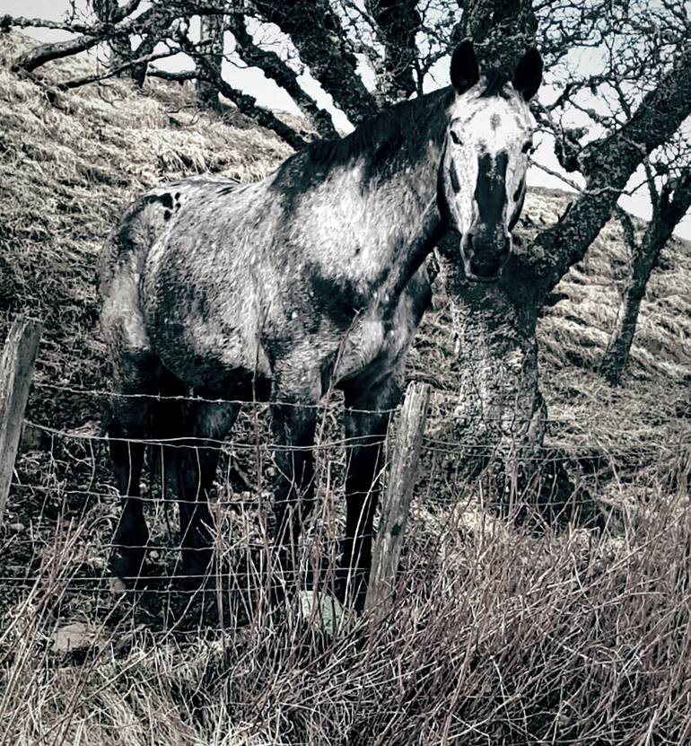 Original Conceptual Abstract Painting by Diana Hand