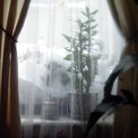 Warm inside by Mirjana Kanuric