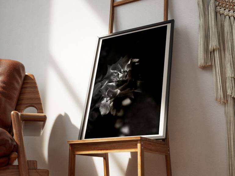 Original Contemporary Still Life Photography by Carla Cuomo