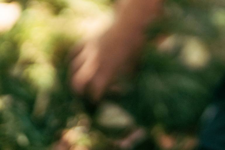 Original Contemporary Abstract Photography by Carla Cuomo