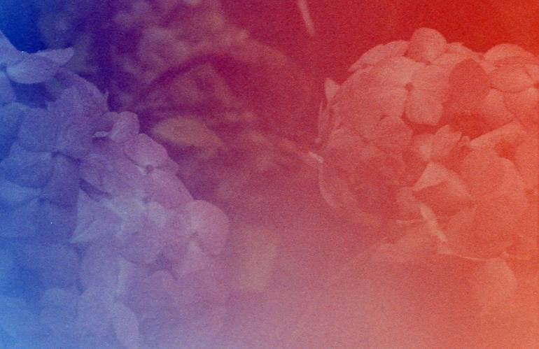 Original Other Abstract Photography by Carla Cuomo