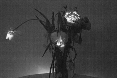 Untitled (Natura Morta, 2021) thumb