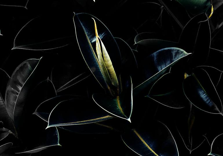 Original Art Deco Floral Photography by Miguel Plà