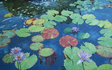 Original Water Paintings by Catherine Kirkwood