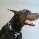 King by Saša Milojković