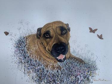 Print of Figurative Dogs Mixed Media by Bara Puletz