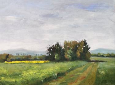 Field In Spring thumb