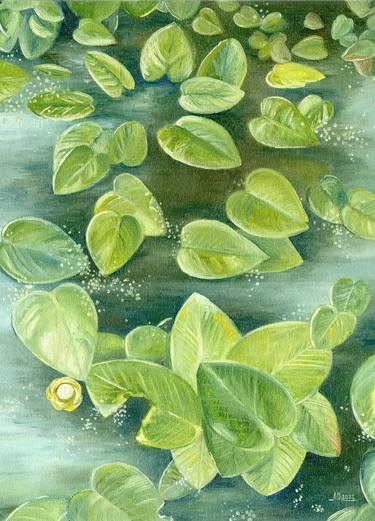Original Botanic Painting by Mariia Alieksieieva