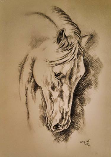 Print of Animal Drawings by Ayeza Nadeem
