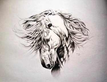 Original Black & White Horse Drawings by Ayeza Nadeem