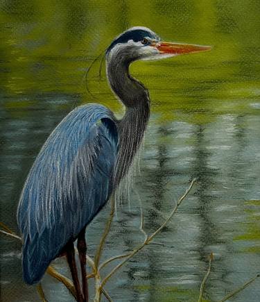 Original Realism Animal Paintings by Angelo Di Carlo