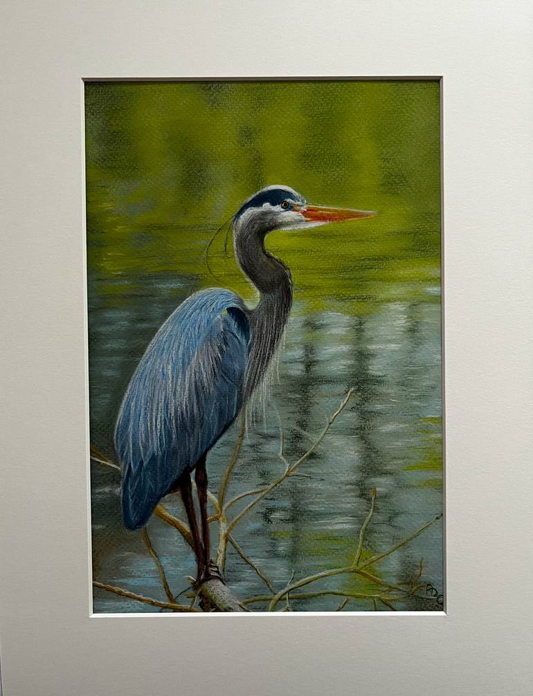 Original Realism Animal Drawing by Angelo Di Carlo