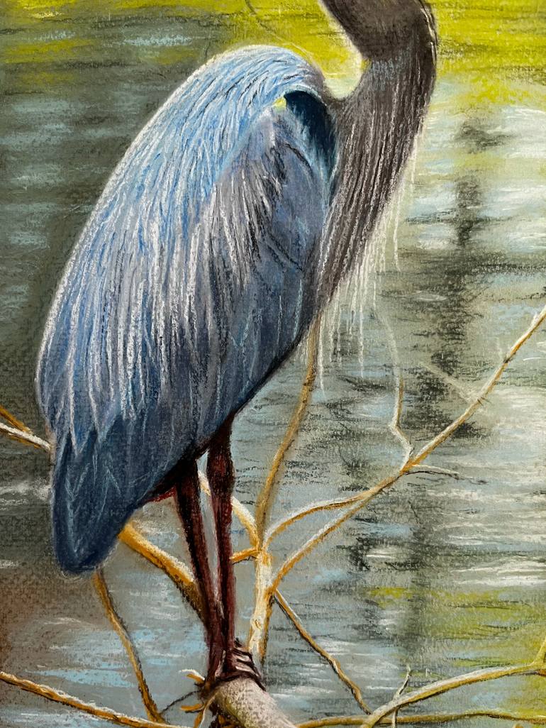 Original Realism Animal Drawing by Angelo Di Carlo