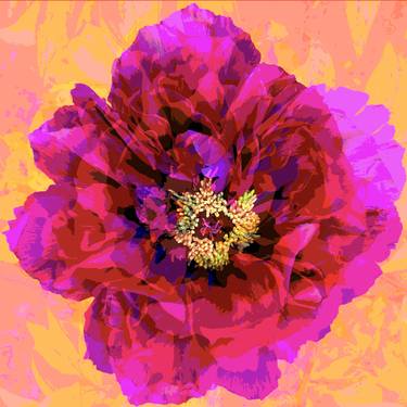 Original Pop Art Floral Digital by Modest and Furious