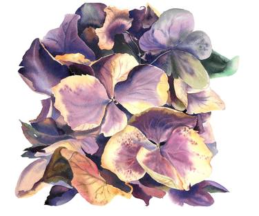 Original Expressionism Floral Paintings by Aleksandra Gorchakova