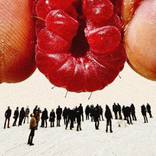 Collection The New Wave