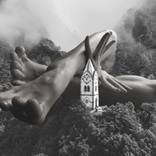 Collection The New Wave