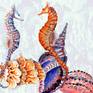 animals, water, shells, corals, turquoise, orange