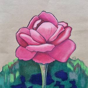 Collection PASTEL ROSE