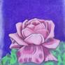 Collection PASTEL ROSE