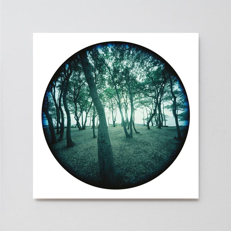 Original Conceptual Landscape Photography by Andre Muehling