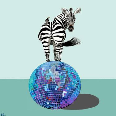 Zebra disco thumb