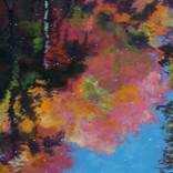 Blossoms Drifting on the Pond by Anne Bevan