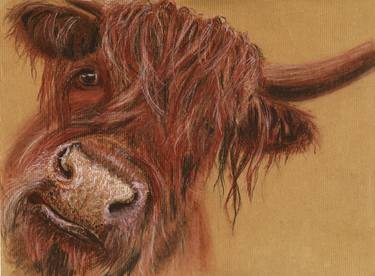 Highlands Scottish Cow Original Drawing on Craft Paper thumb