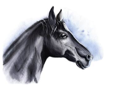 Black Prince. Black Horse Watercolor thumb