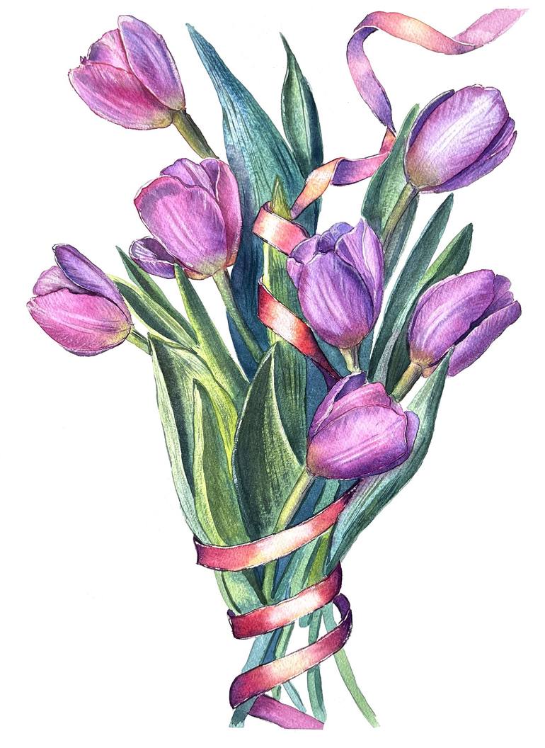tulip illustration