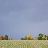 Late September by Nigel Wood