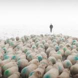 Collection 100 Curators Collection