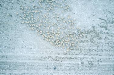 Print of Aerial Photography by Ton van Zantvoort