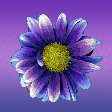 Original Fine Art Floral Photography by Carolyn Brown