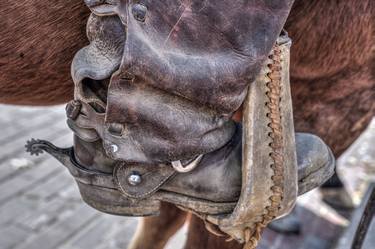 Original Documentary Horse Photography by Carolyn Brown