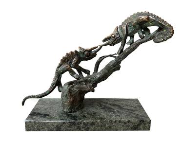 Chameleon duel thumb