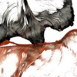 Collection From Russia