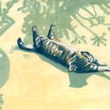 Lazy Cat in Normandy by Georgiana Chitac